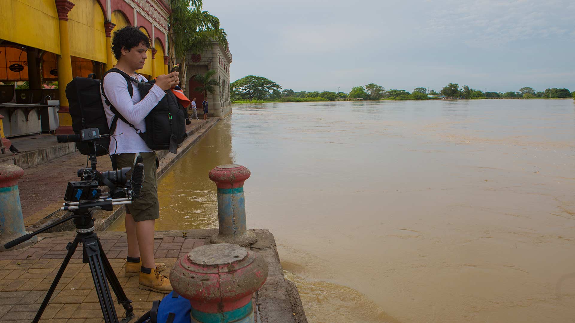 Héroes al rescate animal: osos especiales, conoce más de esta especie por www.rtvcplay.co.