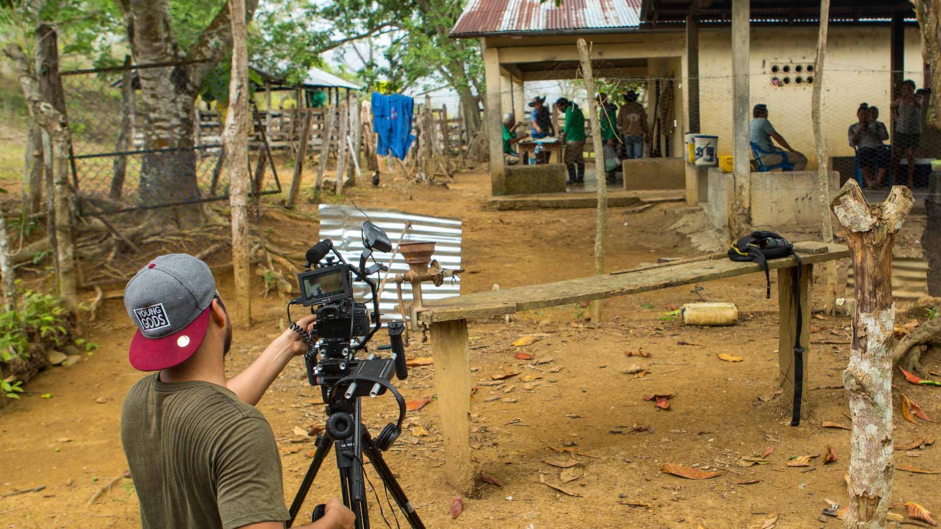 Héroes al rescate animal: mono tití, conoce más de esta especie por www.rtvcplay.co.
