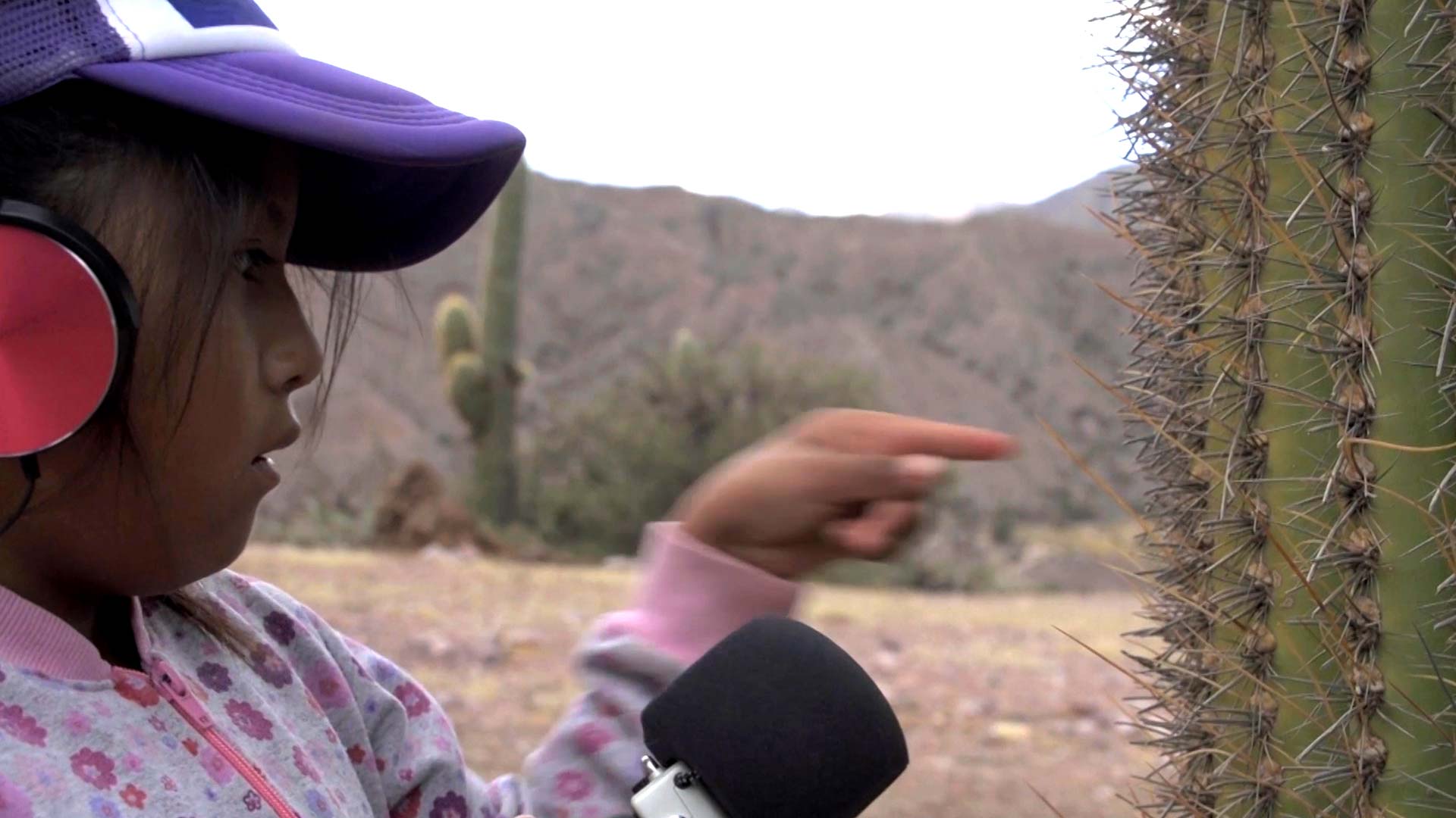 Mira el séptimo capítulo de la serie infantil Cazadores de sonidos en la plataforma de streaming de todos los niños y niñas: RTVCPlay