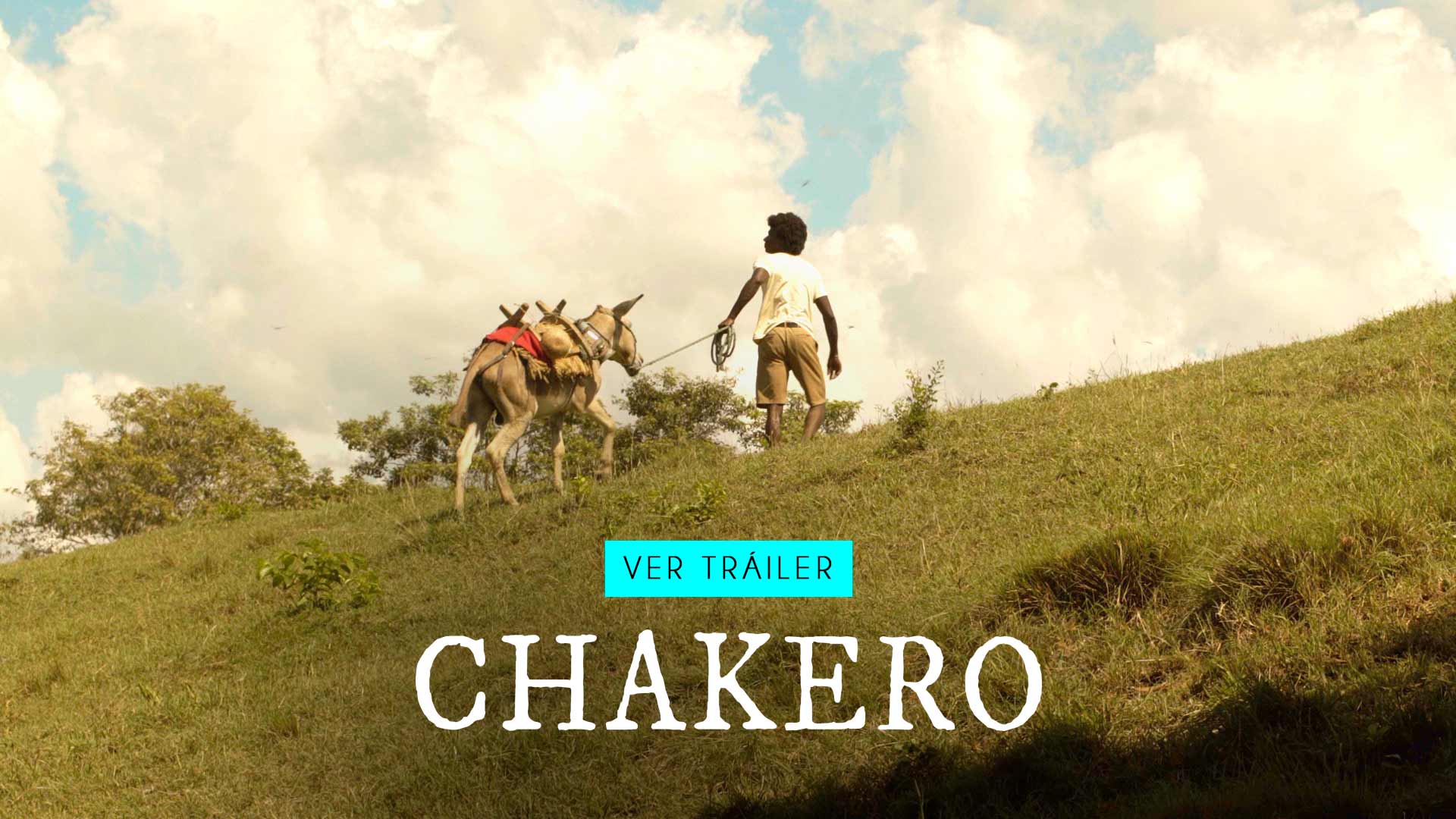 Disfruta ahora del cortometraje colombiano Chakero en la plataforma de streaming gratuita RTVCPlay