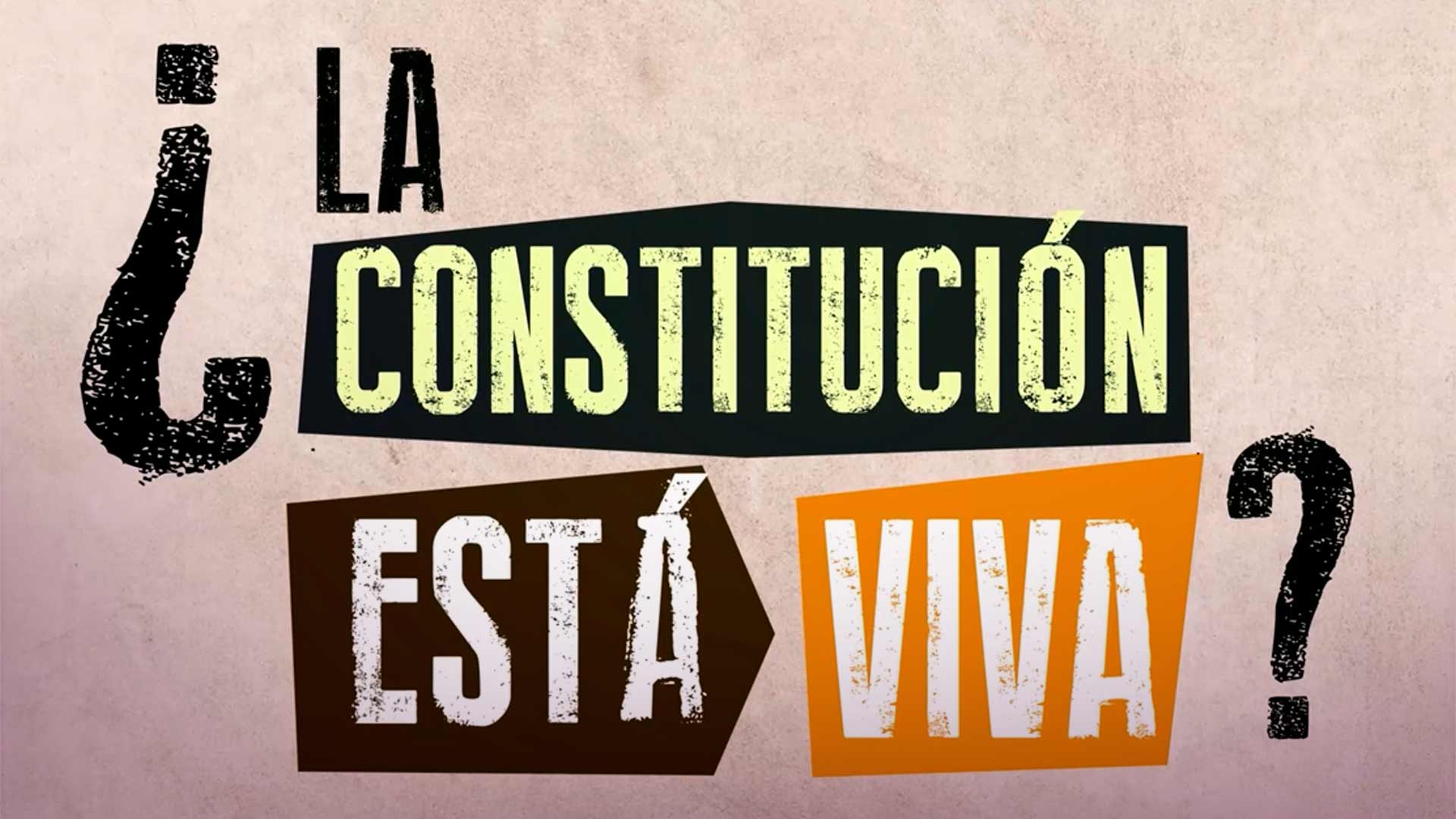 Imagen la constitución esta viva