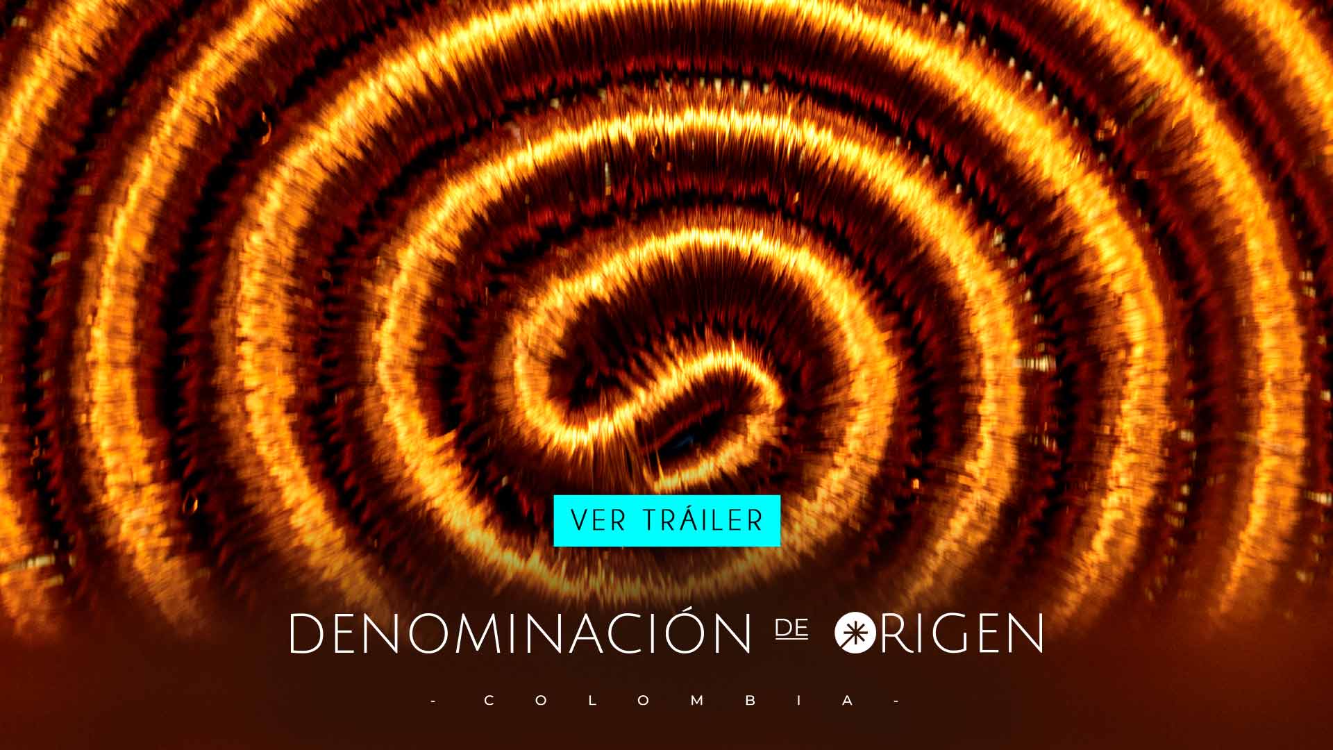 Denominación de origen, serie coproducida por Señal colombia disponible ahora en la plataforma de streaming RTVCPlay