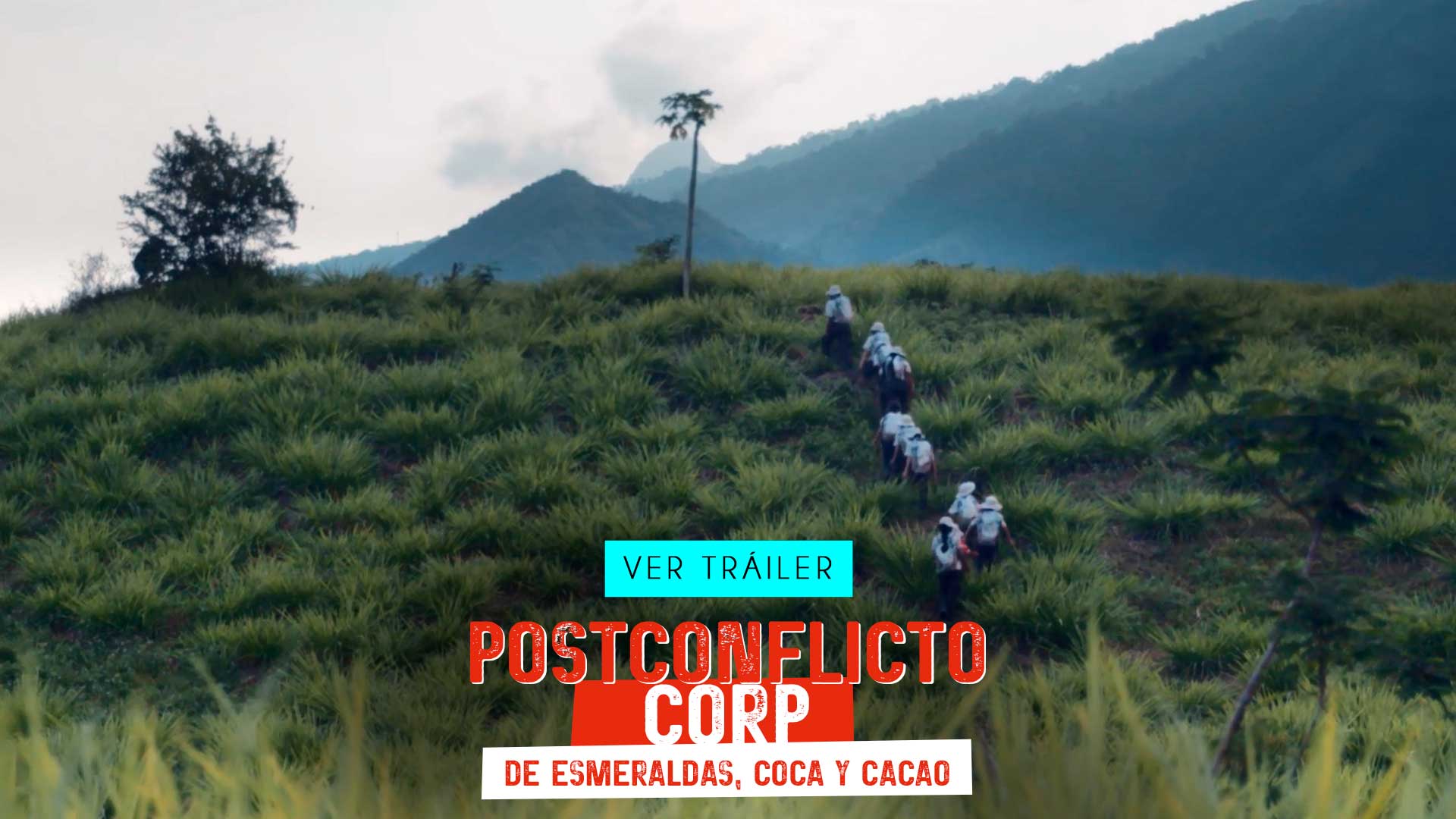 Postconflicto Corp: de esmeraldas, coca y cacao, documental colombiano disponible ahora en la plataforma de streaming RTVCPlay