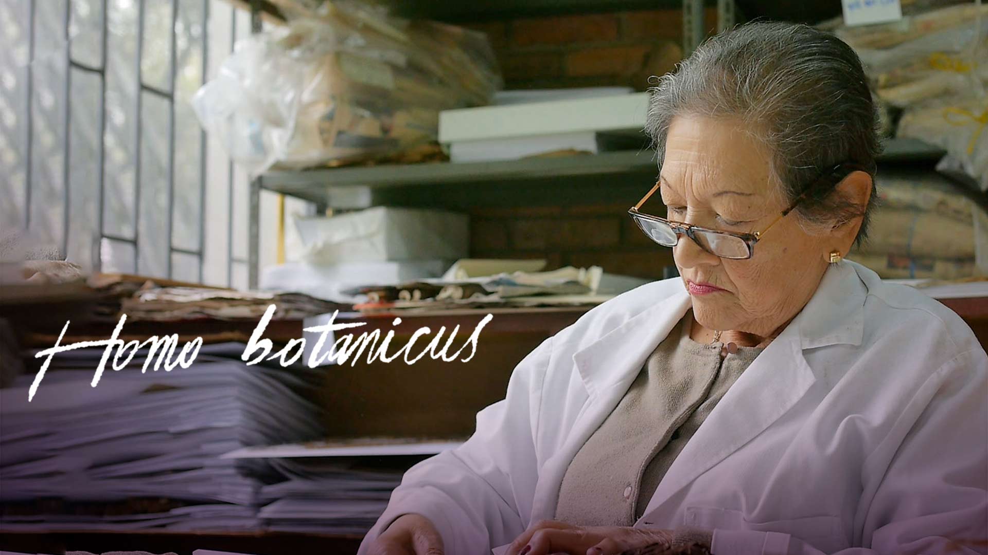 Mujer mayor en un archivo Homo Botanicus película documental gratis