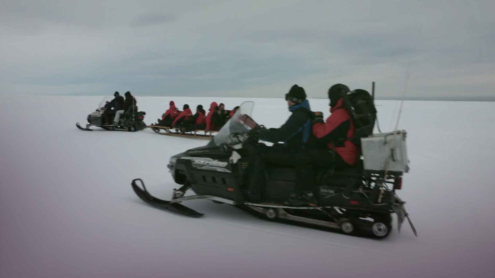 Grupos de personas recorriendo la Antártica - Misión ciencia