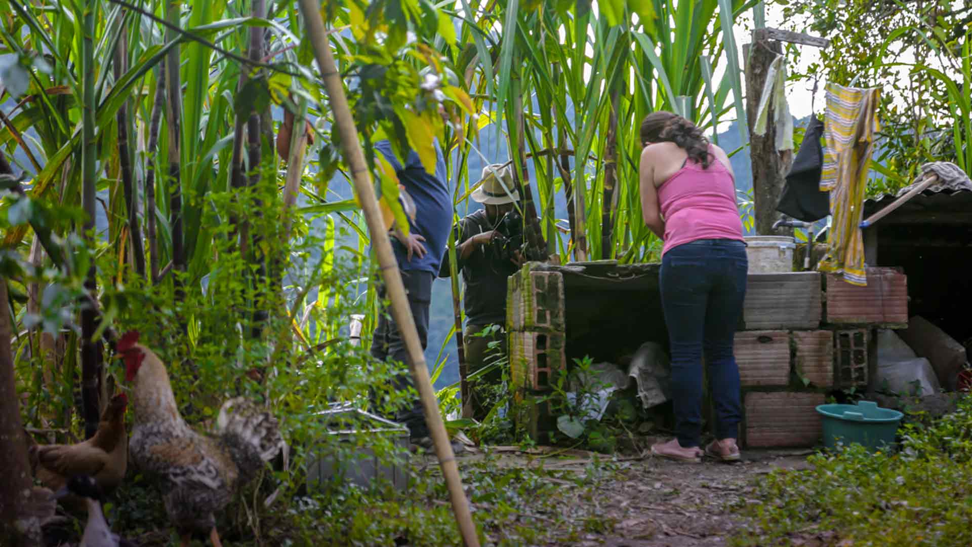 Mujer lava ropa, rodeada de plantas de caña de azúcar - Tan cerca y tan lejos