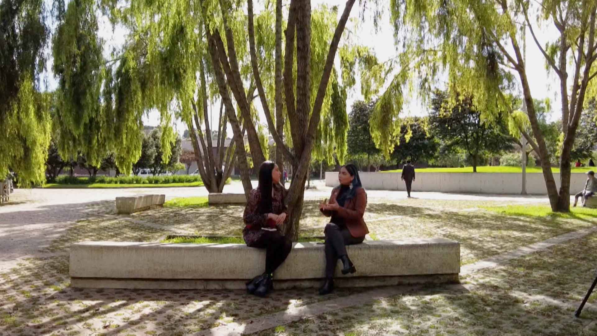 Nassau, bahamas, el mundo al vuelo, capsulas de el mundo al vuelo con hector mora, el mundo al vuelo en rtvcplay