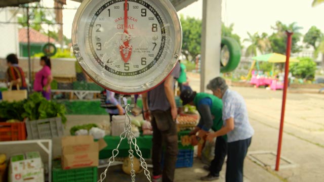 Báscula de mercado - Expediente Ingrediente
