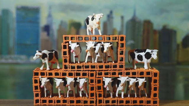 Ganado - Expediente Ingrediente