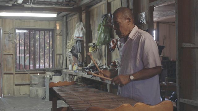 Hombre tocando la marimba - Misión ciencia