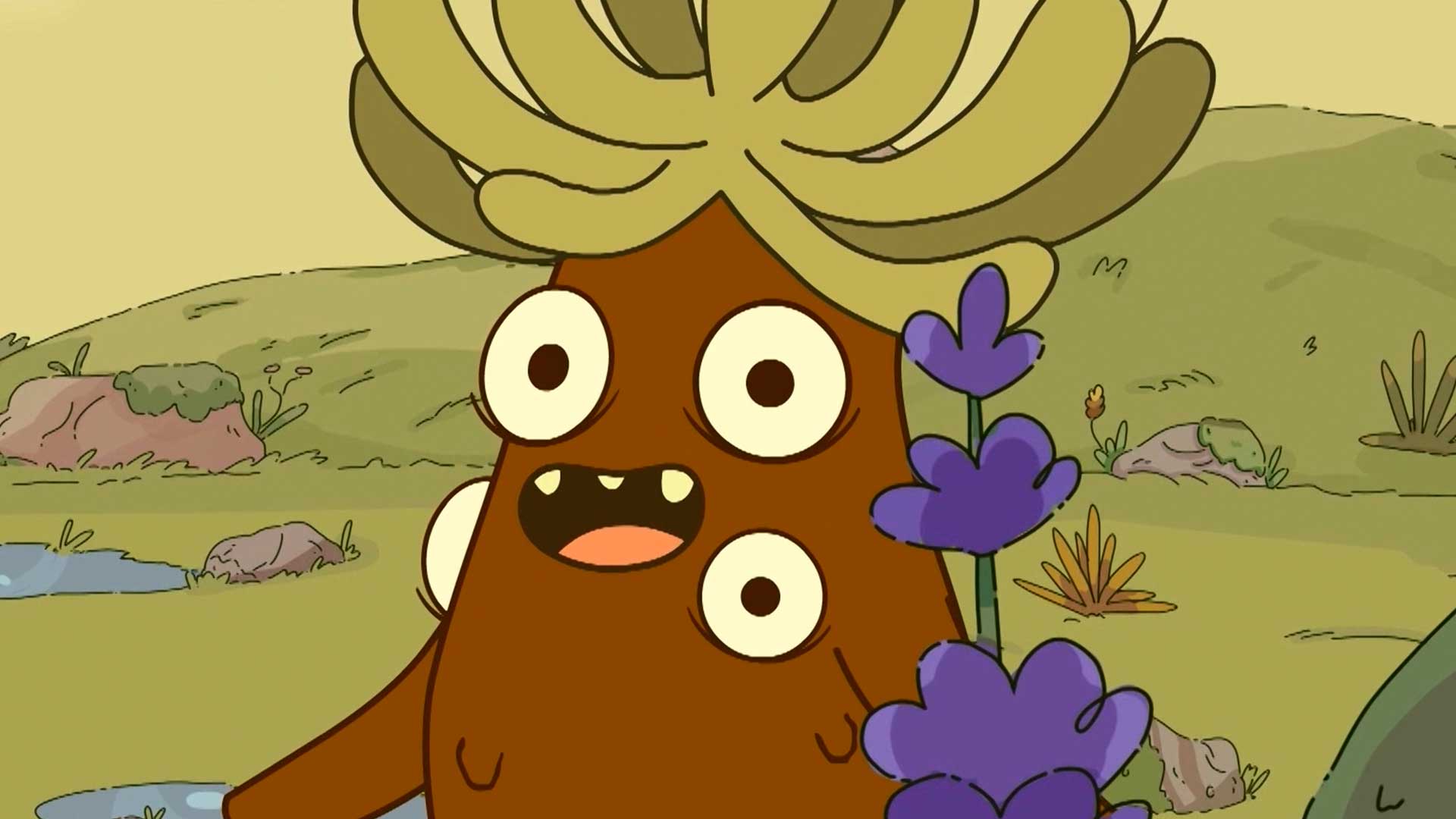 Acompaña al Frailejón Ernesto Pérez, guardián del agua y de la vida por www.rtvcplay.co.