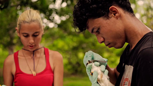 Jóvenes colombianos trabajando en un proyecto