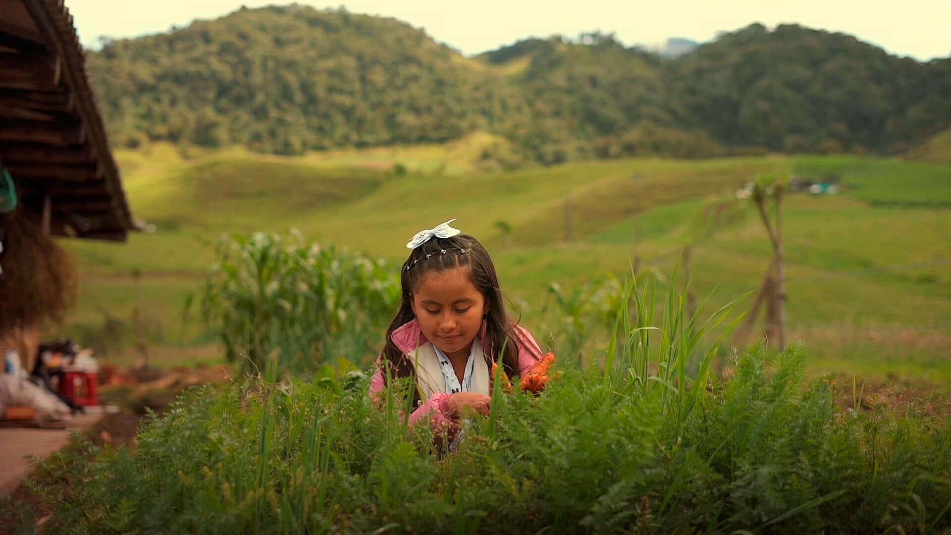 Karen de geniales, sembrar, divertirse, consejos para divertirse, ideas apra no aburrirse,  ver geniales gratis, mi señal mi huella, niños colombianos cocinando, series educativas, series gratis, series online
