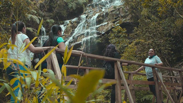 Cascada, compromiso con el medio ambiente, cuidado al medio ambiente, medio ambiente, series gratis, series online, series colombianas, series de señal colombia