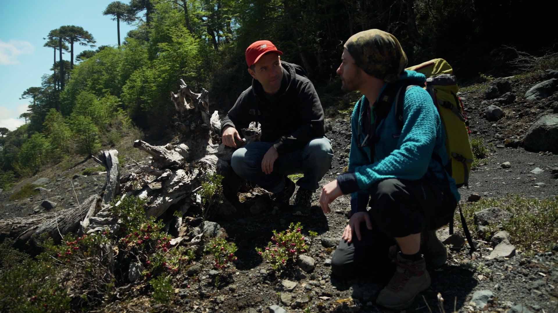 Mira ahora el cuarto capítulo de la serie Hijos de las estrellas en la plataforma de streaming de los colombianos: RTVCPlay