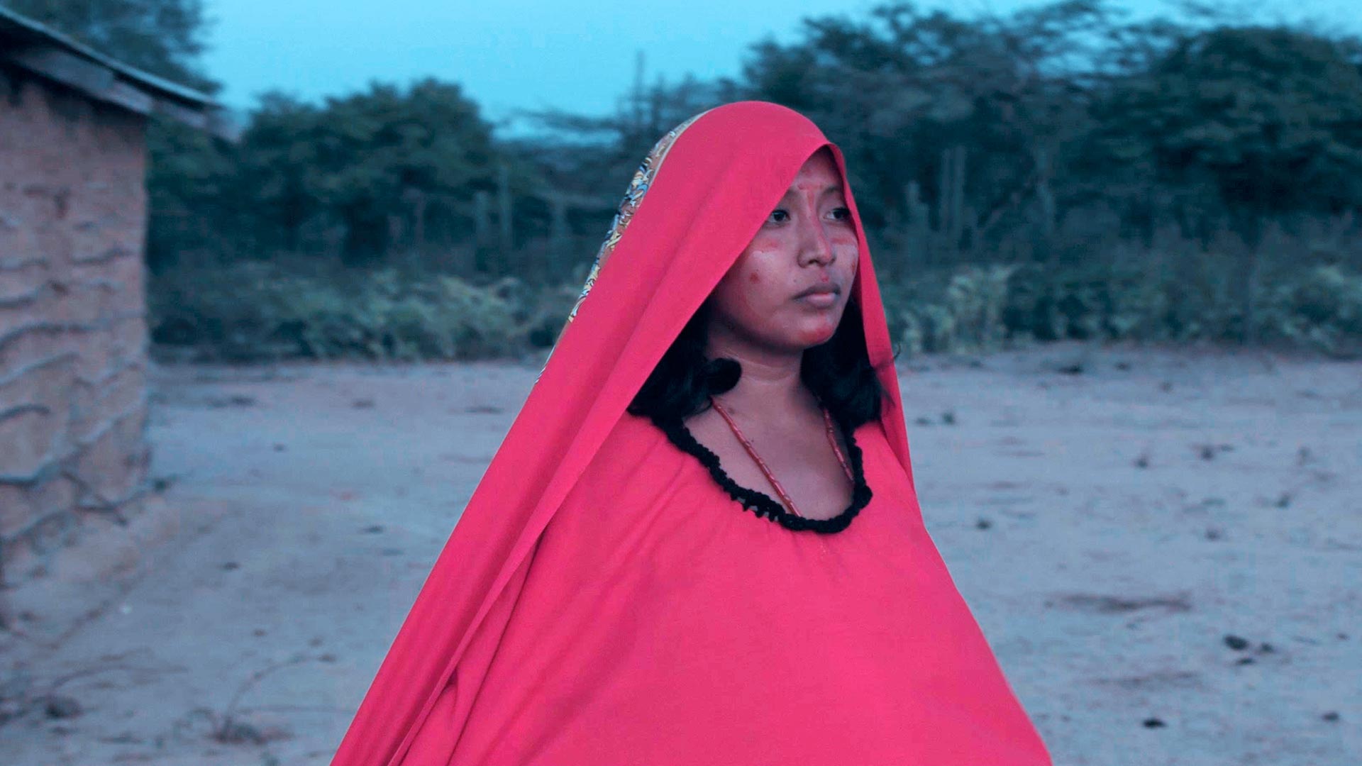 Mira ahora el primer capítulo de la serie documental Hijas de la luna, en la plataforma de streaming RTVCPlay