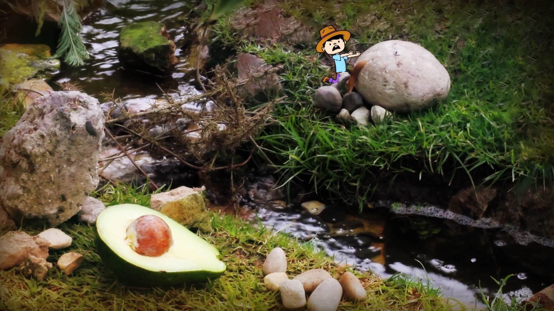 Riachuelo, rio, paseos familiares, piscinas naturales, cronicas de niños, cuentos narrados por niños, ver cronicas elefantiles,series infantiles gratis, series gratis, series online, series para niños