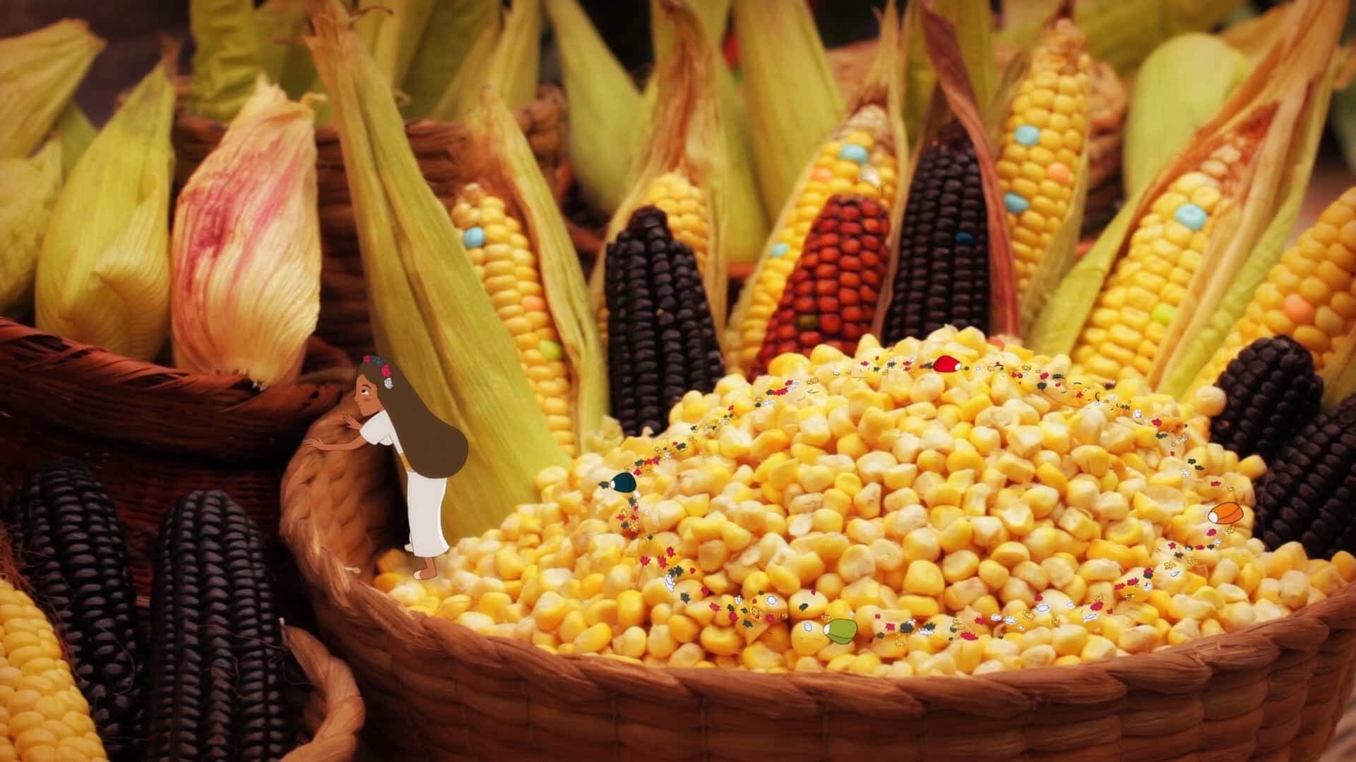 Mazorca, niña huitaca, territorios, relaciones en territorios, humedal tibabuyes, cronicas de niños, cuentos narrados por niños, ver cronicas elefantiles,series infantiles gratis, series gratis, series online, series para niños