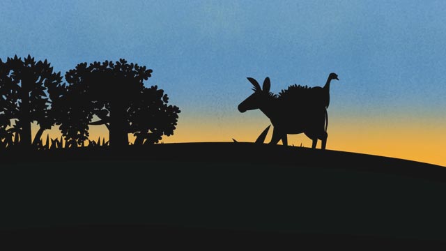 Atardecer, burro, pollitos, RTVCPlay, Señal Colombia, agua, regar 