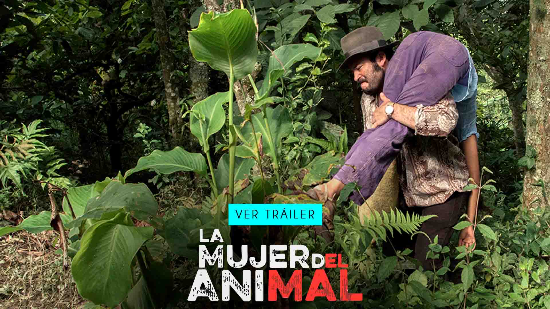 La mujer del animal, película colombiana disponible ahora en la plataforma de streaming RTVCPlay