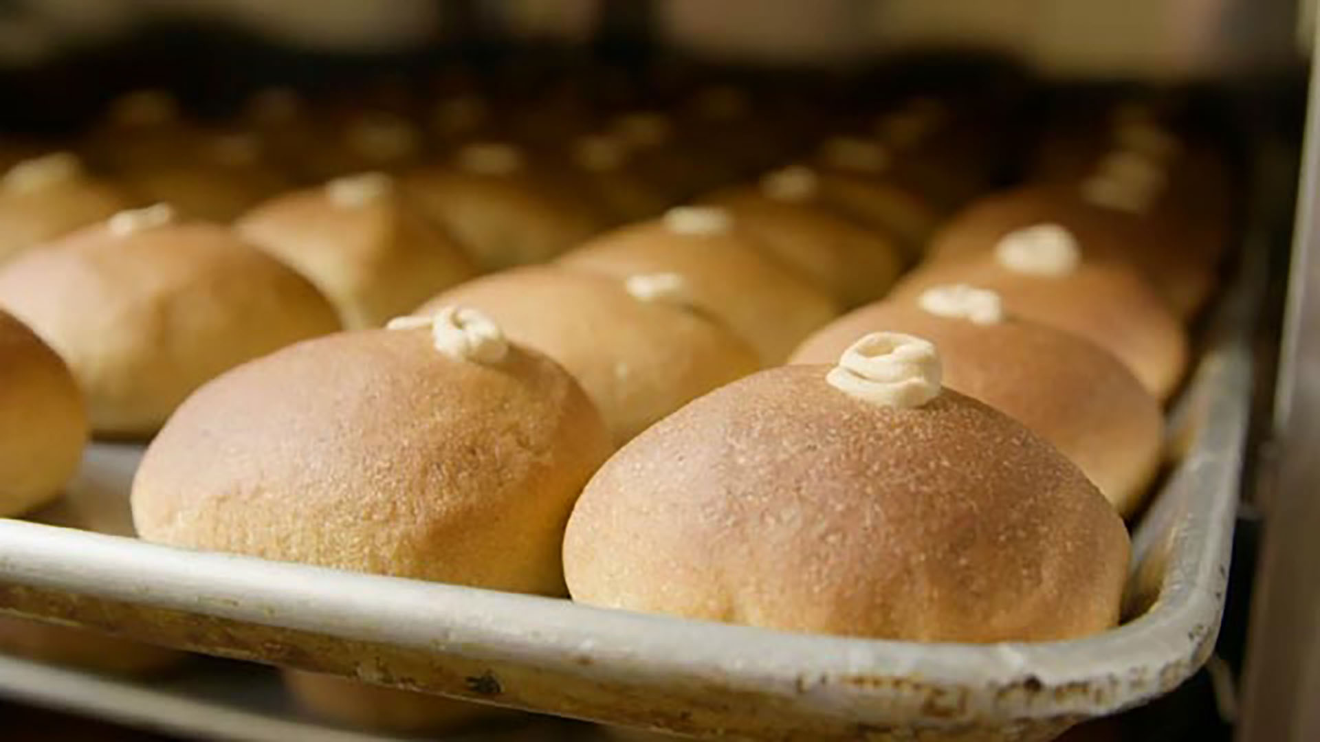 Aprende sobre el pan en Los puros criollos por la plataforma de streaming RTVCPlay.