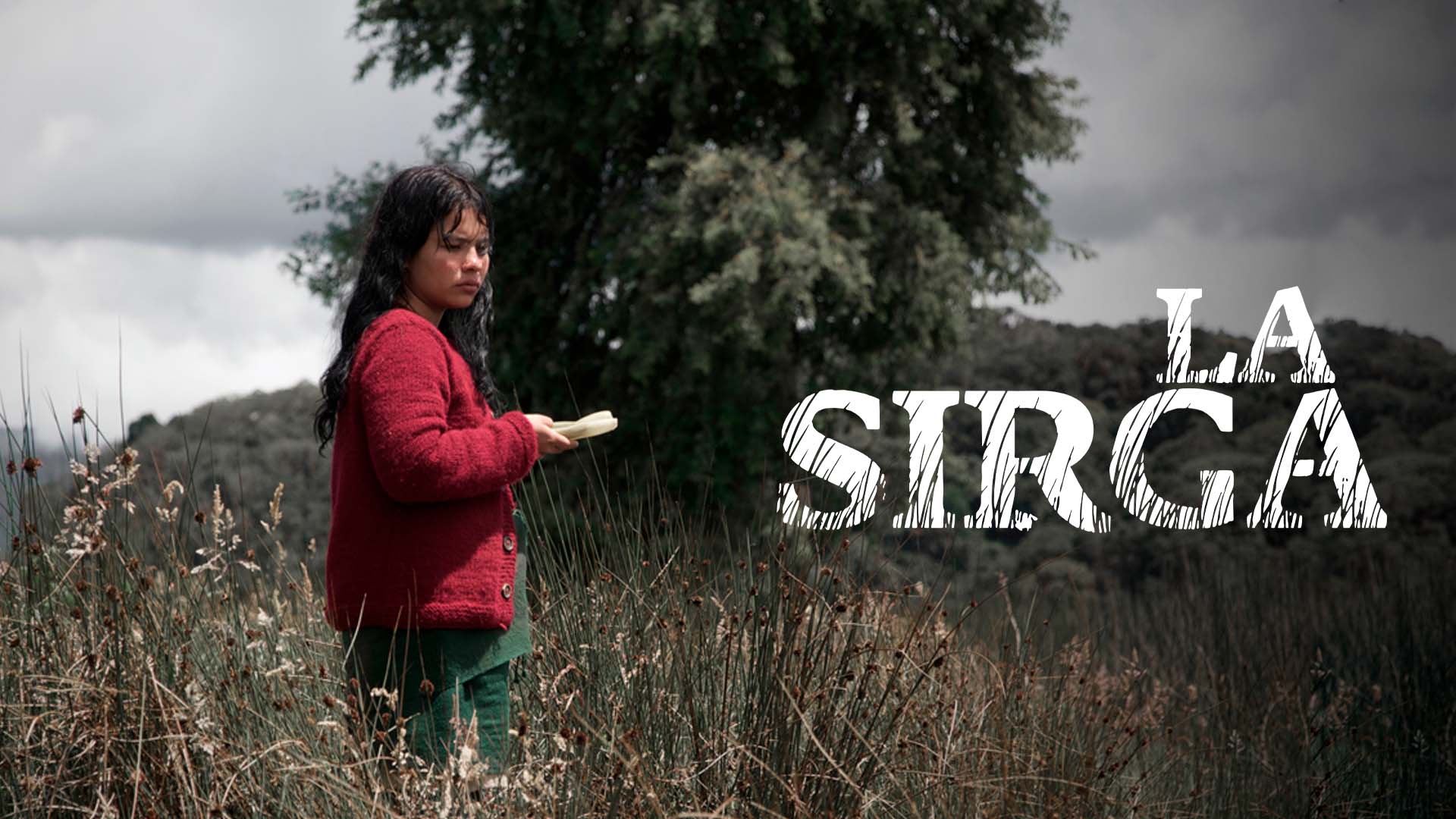 La Sirga, película colombiana dirigida por William Vega, disponible ahora en la plataforma de streaming RTVCPlay