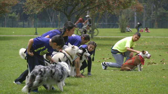 Canicross, niños y sus caninos, niños y perros, ver mi señal mi huella, series infantiles, series para niños, series online, series gratis