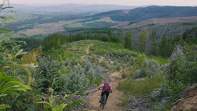 Mira el quinto capítulo de la segunda temporada de Malos pasos por la plataforma de streaming RTVCPlay 