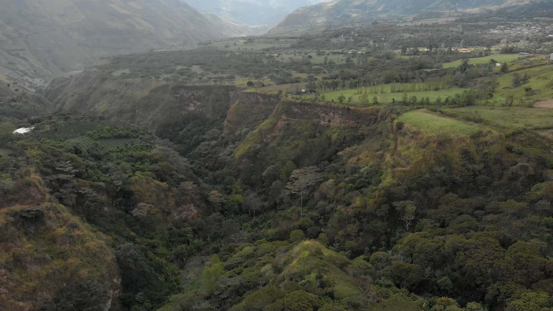 Conoce un poco más sobre la batalla de Bomboná en Memoria en contexto, disponible en la plataforma de streaming RTVCPlay.