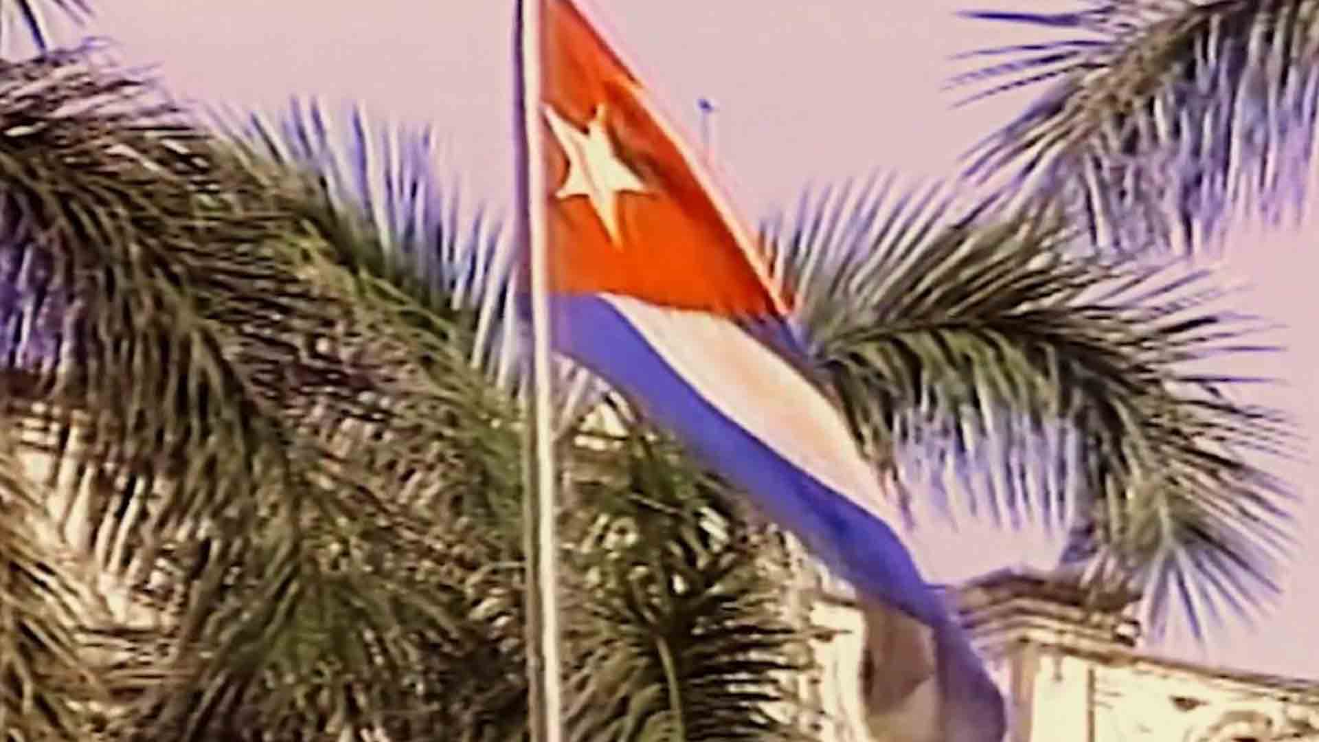 bandera cubana entre palmeras 