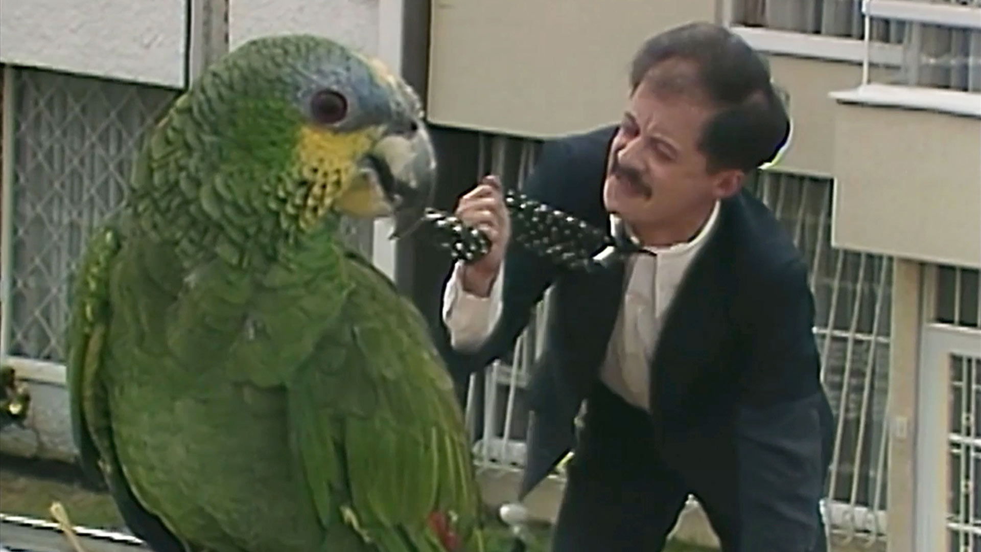 Nerón con un loro mordiendo su corbata