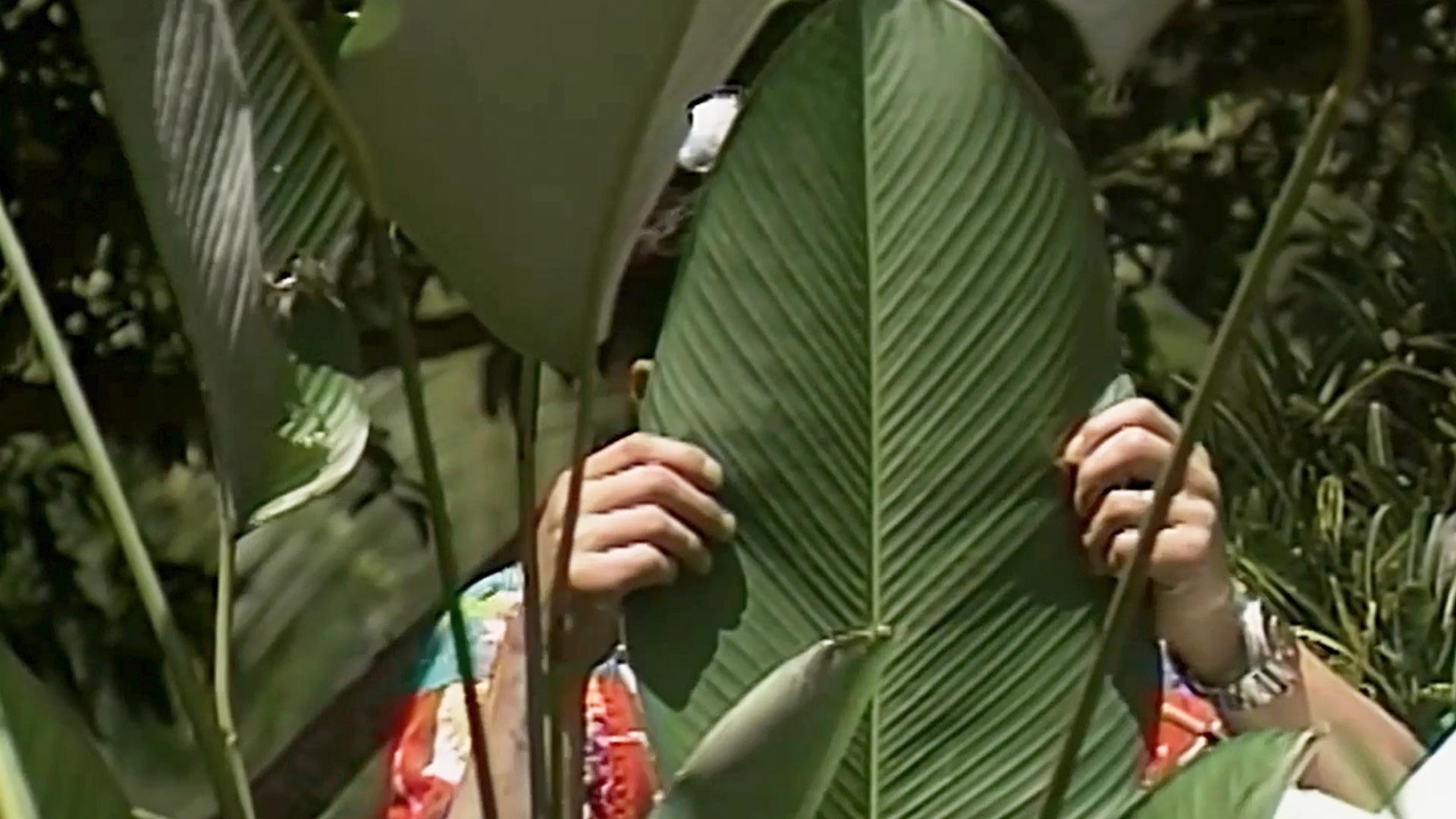 persona escondida detrás de una hoja