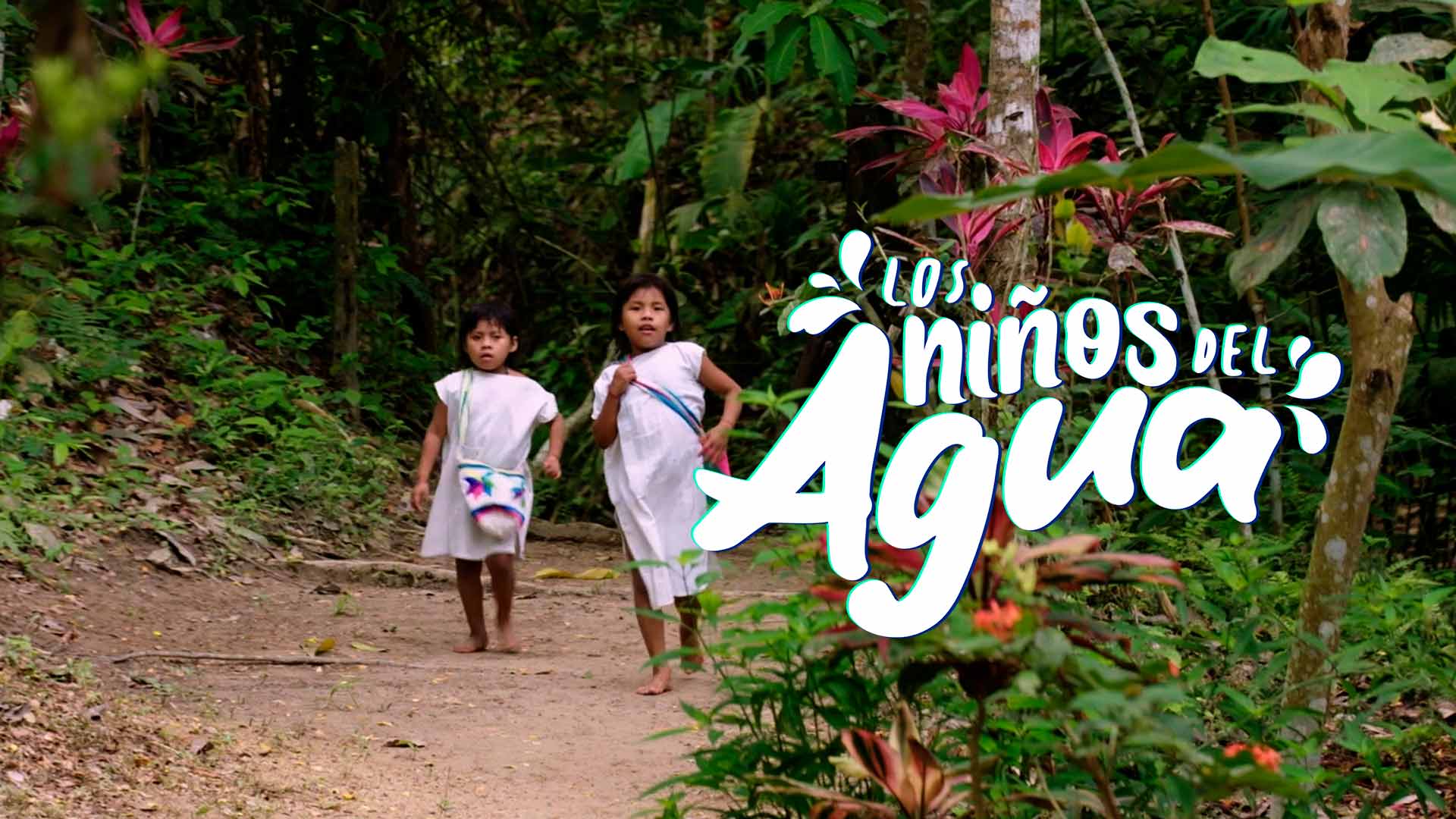 Los niños del agua, serie documental disponible en la plataforma de streaming de todos los colombianos: RTVCPlay