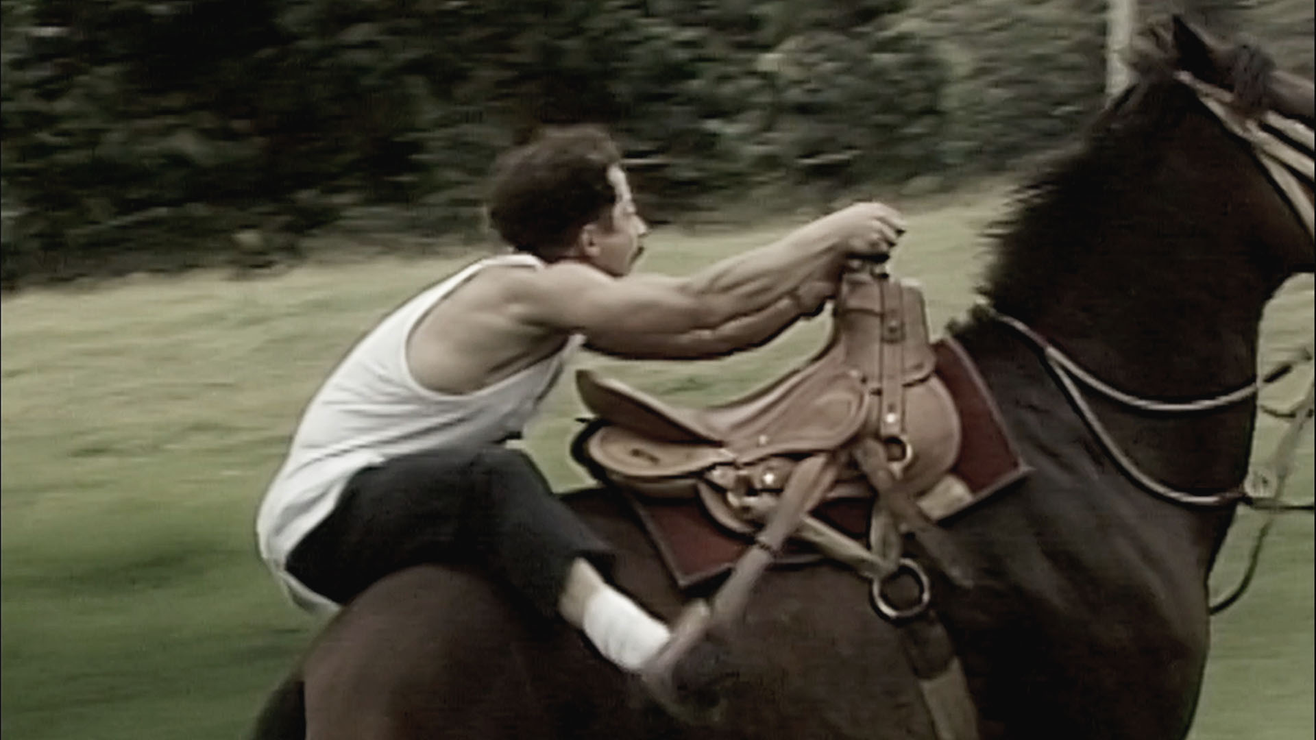 El llanero con solitaria, neron navarrete montando a caballo, paseo, vacaciones, villa arepa, vacaciones, me dejo la flota, Sudar la gota de leche, finca de doña rotunda, doña rotunda, juliana, hermelinda, ver gratis n.n, neron navarrete, carlos duplay, german escallon, series gratis, series online, novelas colombianas gratis