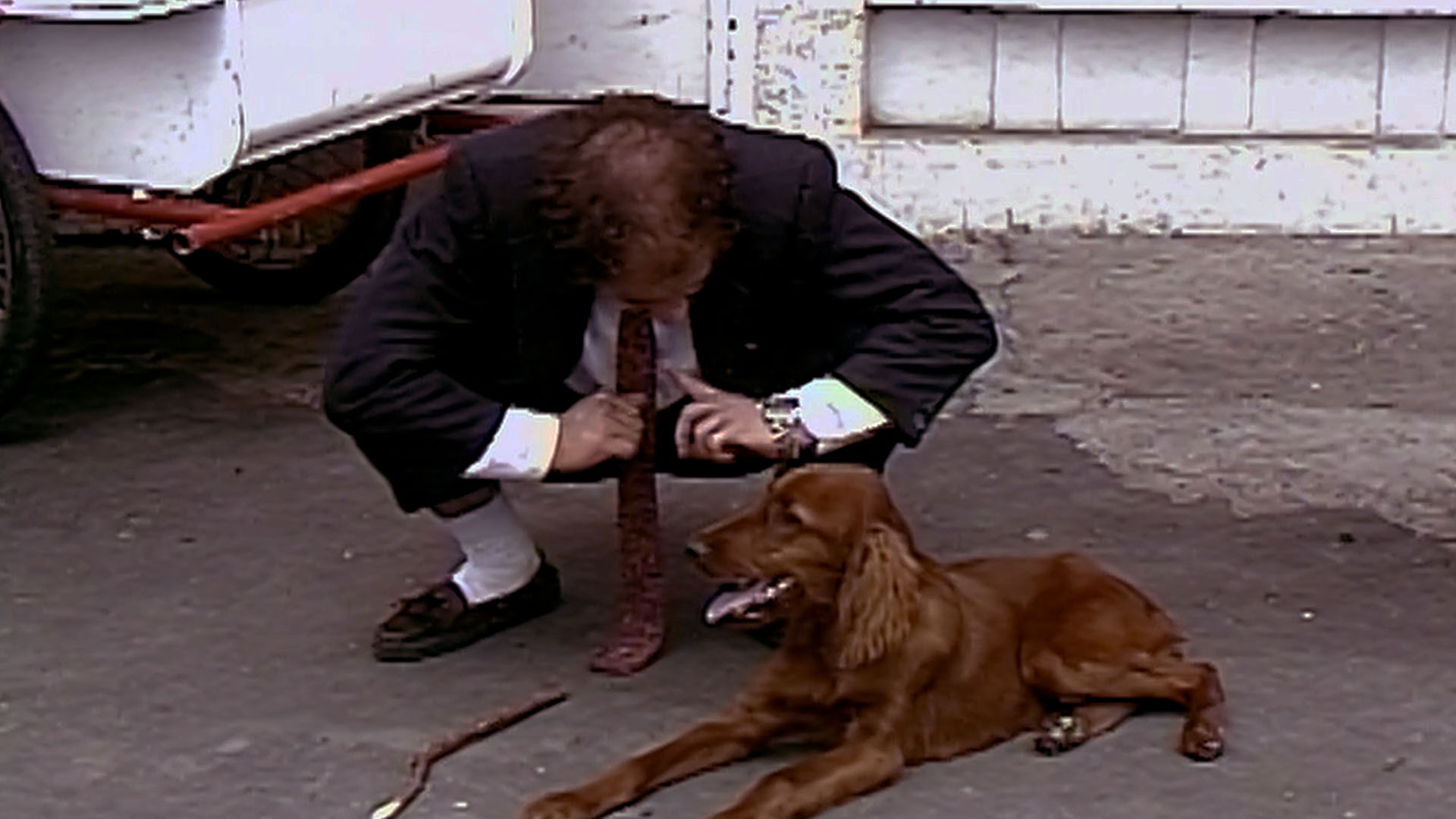 vida de perros, mascotas, perros, neron y un perro, ver gratis n.n, neron navarrete, carlos duplay, german escallon, series gratis, series online, novelas colombianas gratis