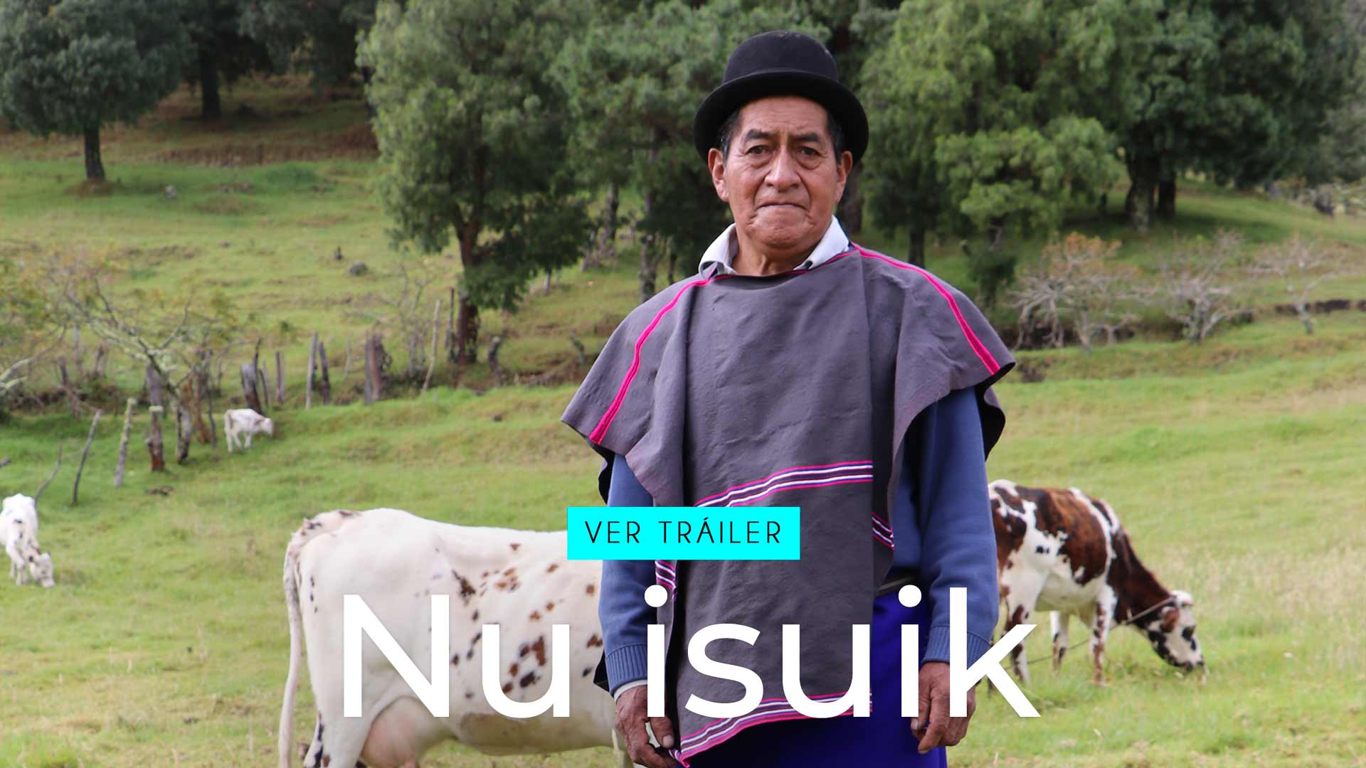 trailer de Nu Isuik, documental gratis de Nu Isuik, Nu Isuik gratis, Documental de Señal Colombia Nu Isuik, documentales colombianos gratis, documentales en rtvcplay, documentales online, peliculas gratis, ver nu isuik, documentales indigenas misak