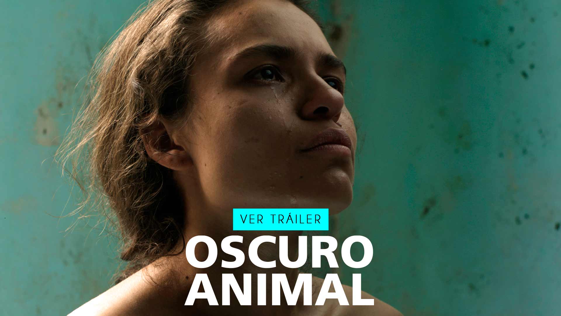 Tráiler Oscuro animal, oscuro animal gratis, peliculas online, violencia femenina, violencia contra la mujer, mujeres