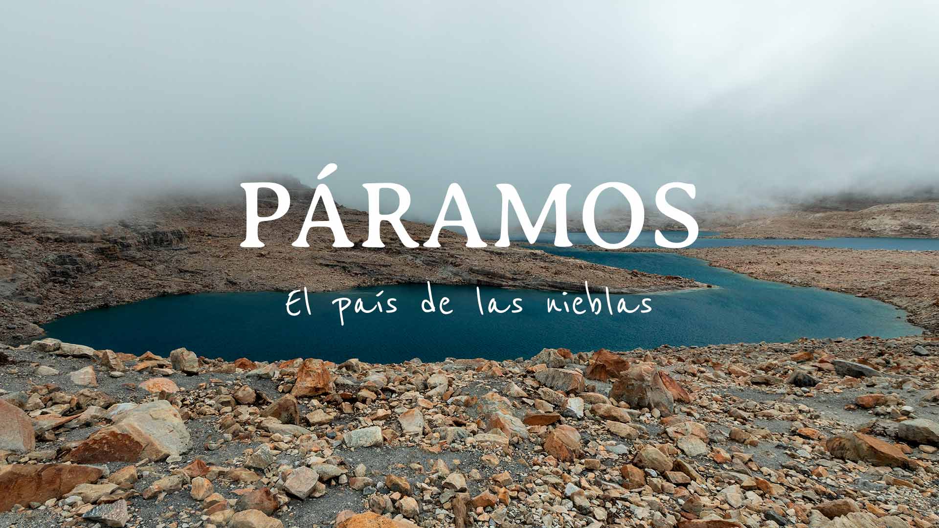 Mira la película documental "Páramos, el país de las nieblas" en la plataforma de streaming RTVCPlay