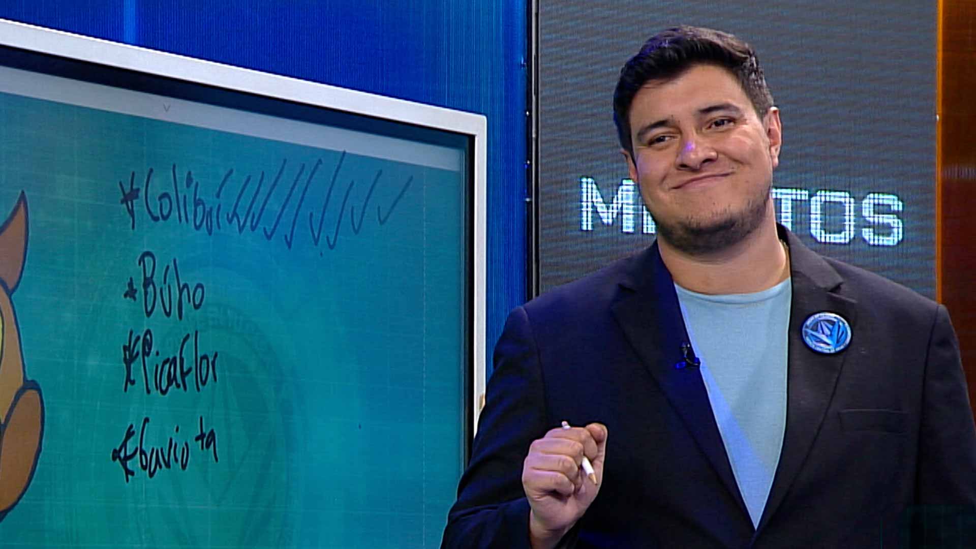 aves, investigadores, especies de aves, programas educativos, series infantiles, señal colombia, series gratis, series 