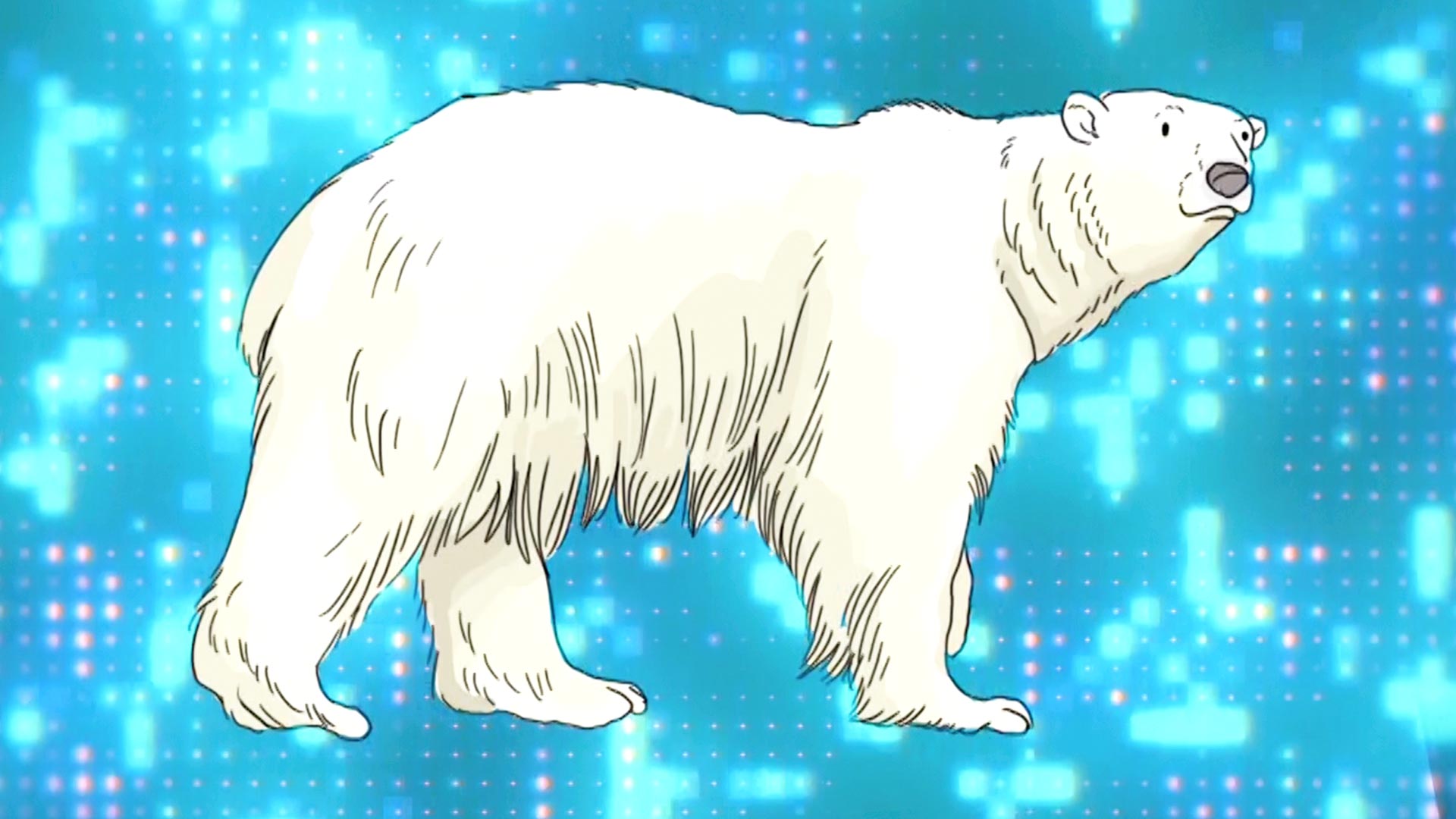 Oso polar animado