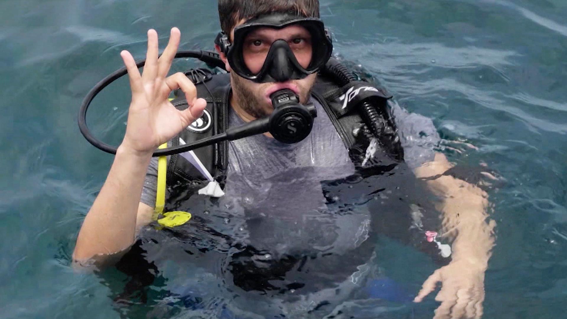 Hombre buceando en el mar, cuidado animal, reserva natural, proteccion animal, rtvcplay, series educativas, profe en tu casa