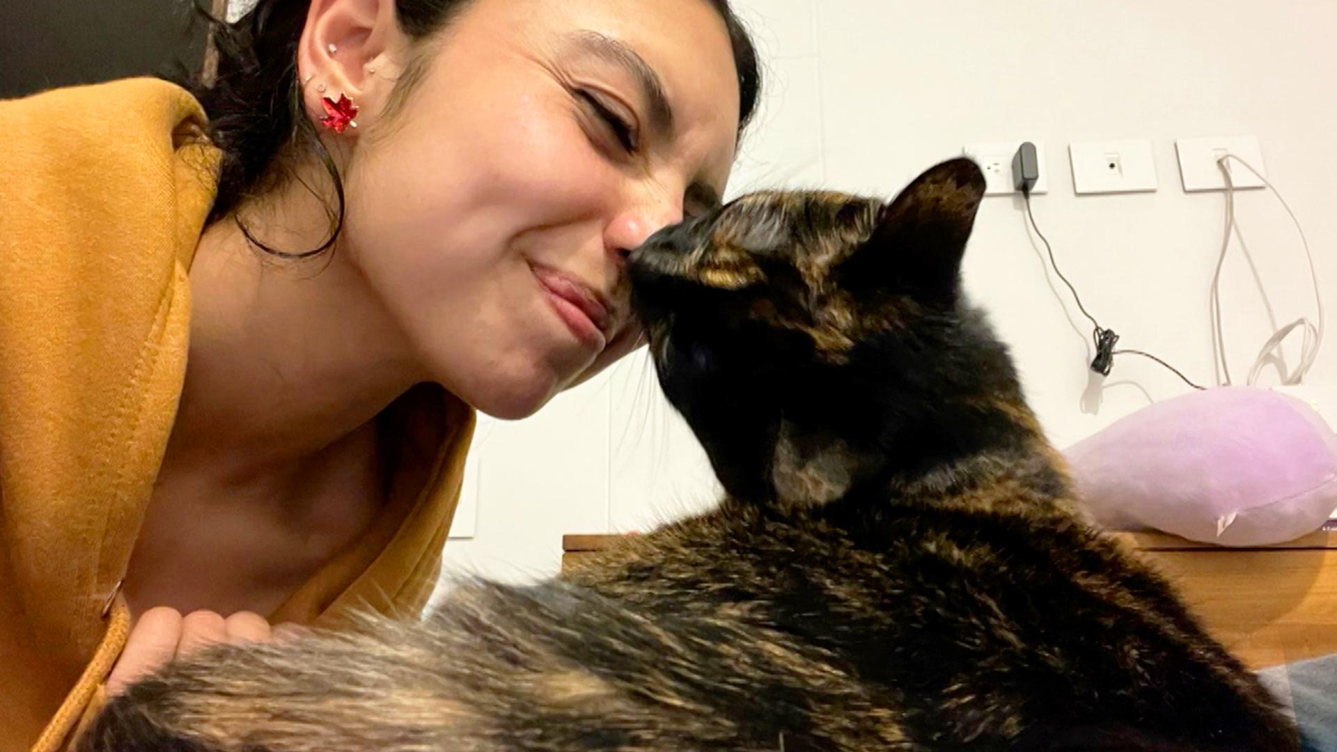 Mujer besando a su gato, profe en tu casa, aprender a cuidar un gato, series educativas, series colombianas gratis, series para niños, consejos para cuidar un gato