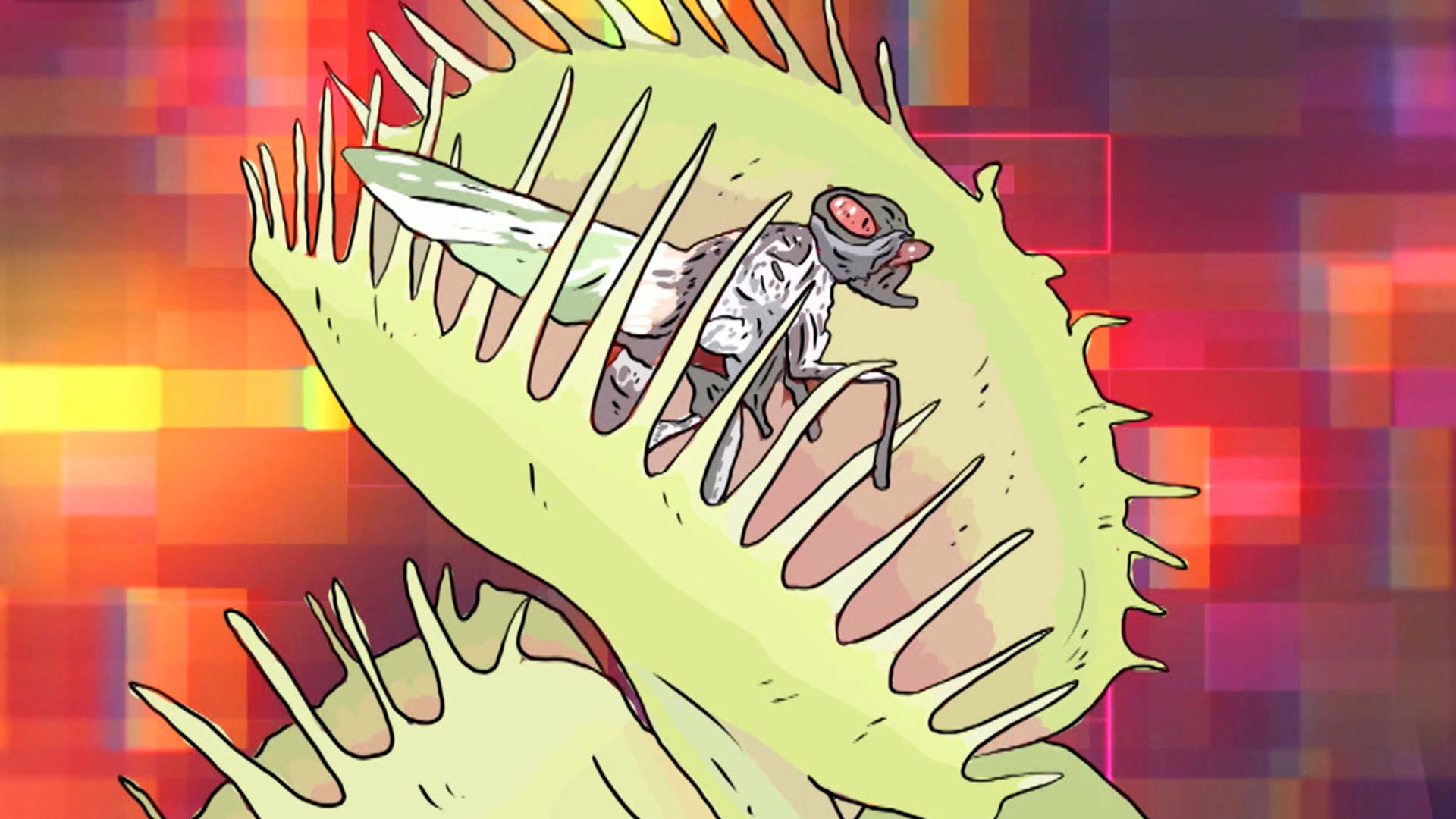 Planta carnívora animada, aprender a cuidar las plantas, consejos para cuidar plantas en casa, aprende a cuidar plantas gratis, series colombianas, series educativas