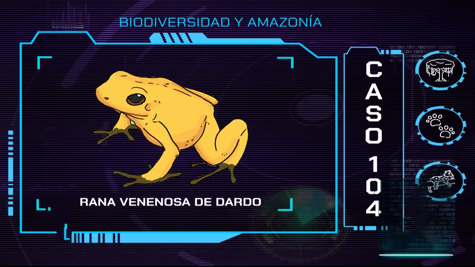 selva amazonica, vida silvestre, animales de la selva, proteccion de fauna y flora,  señal colombia, series gratis, series educativas, ver profe en tu casa