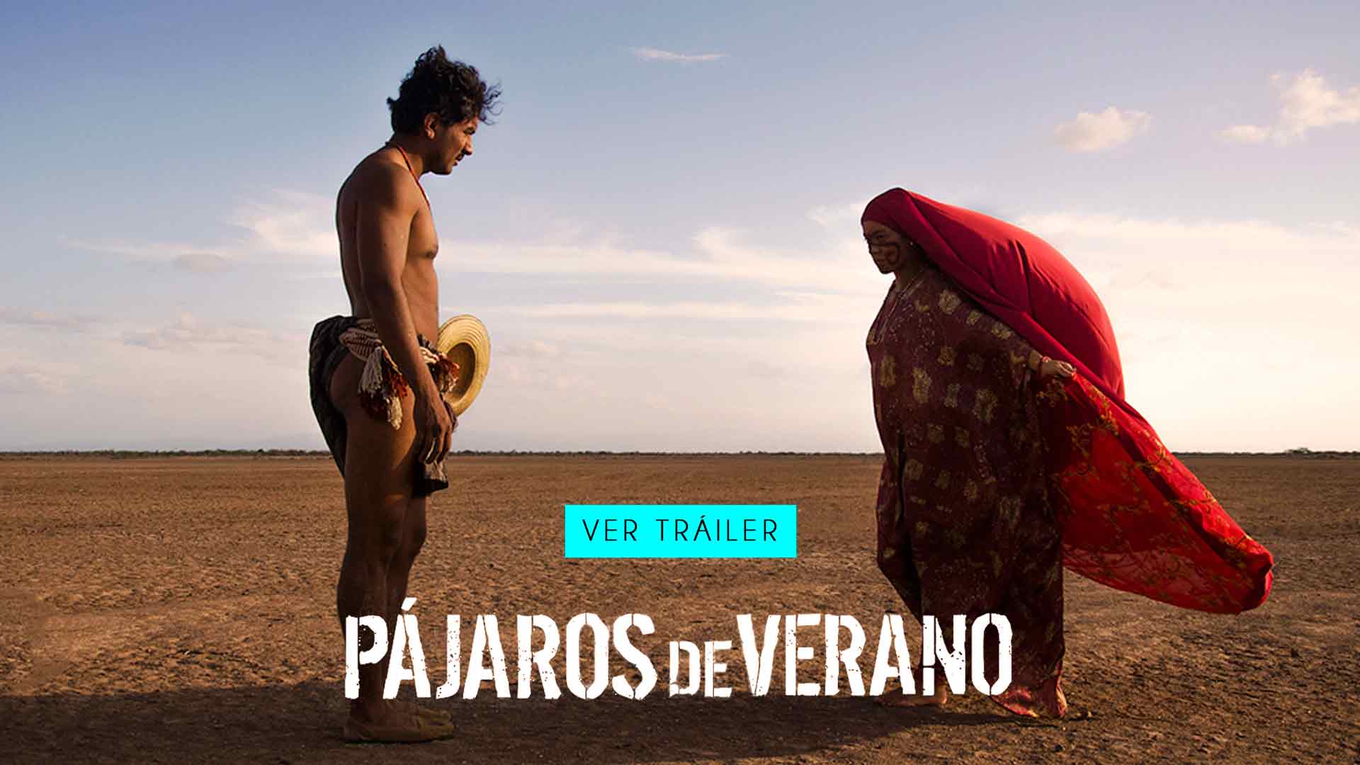 ver tráiler de pajaros de verano, ver pajaros de verano completa, Pájaros de verano, película colombiana gratis, comunidades wuayuu, bonanza marimbera, familia wuayuu, peliculas online, peliculas gratis