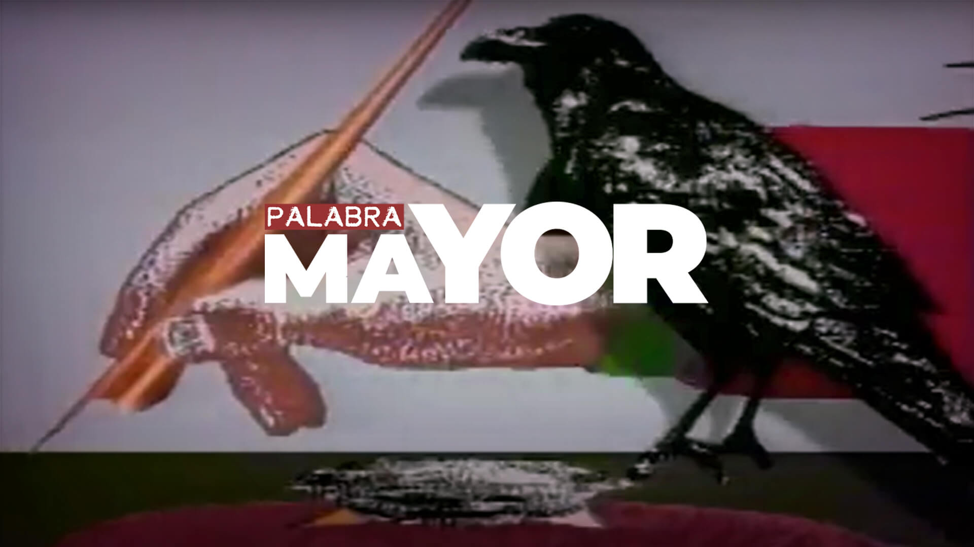 Palabra mayor, entrevistas, escritores, premios literarios, series gratis, series online, series de señal memoria