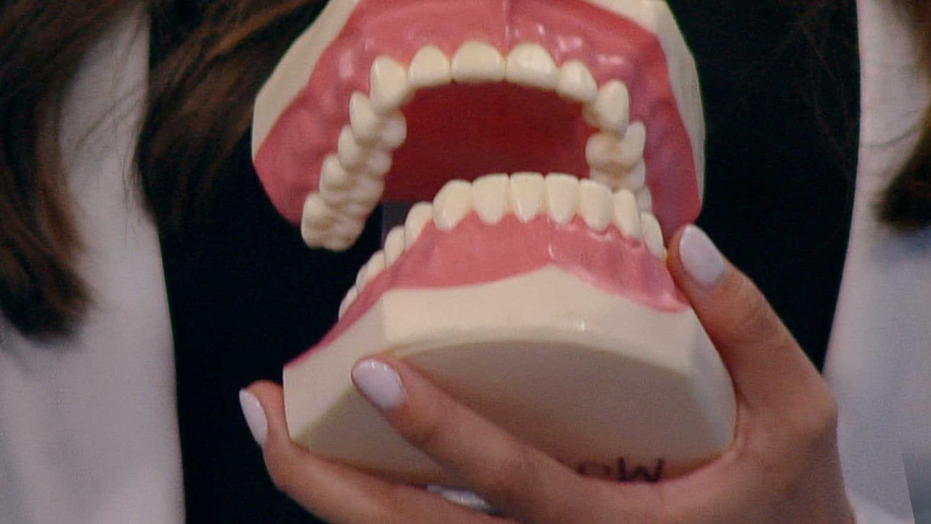 cuidado dental, dientes, higiene dental, cepillarse bien los dientes, odontologo, odontologia en colombia, profe en tu casa, series educativas, señal colombia, series divertidas