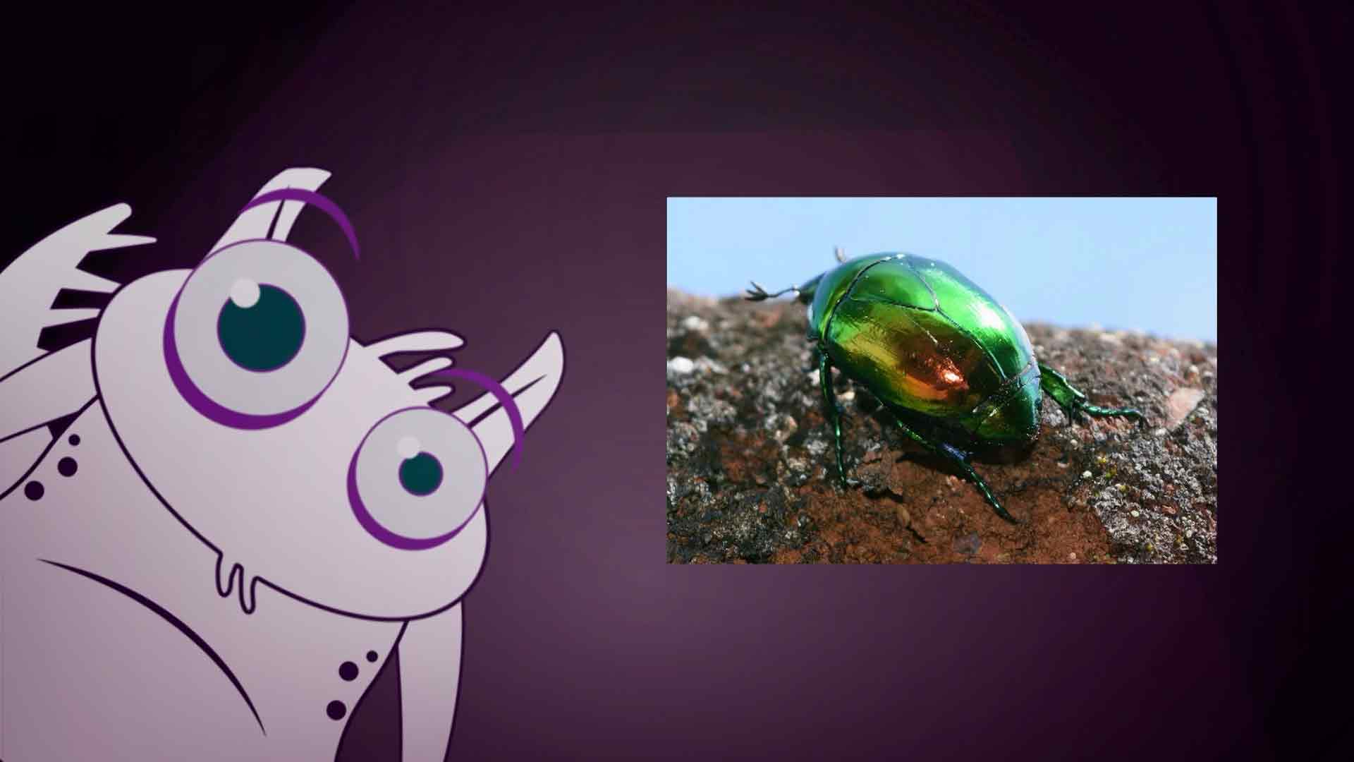 monstruo observa insecto en pantalla, colibries, aprender sobre los colibries, series educativas, series gratis, series online, series infantiles, series juveniles