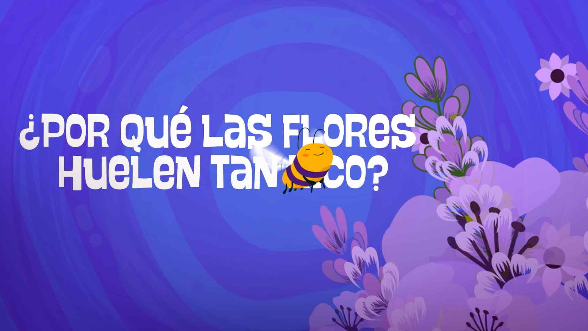flores, olor de las flores, fragancia de las flores, datos curiosos sobre las flores, series gratis, series online, series infantiles, series juveniles