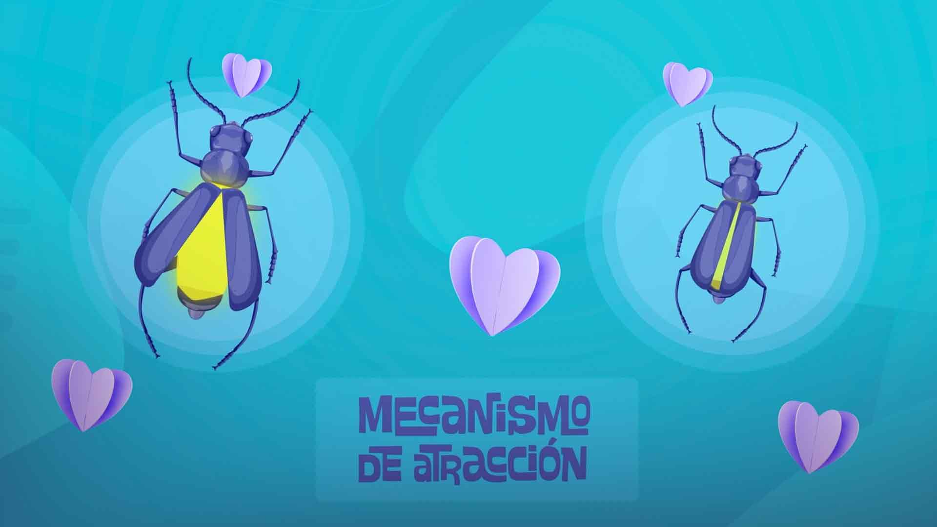 dos luciérnagas, luz de las luciernagas, datos curiosos sobre las luciernagas, profesor web, ver profesor web, series gratis, series online, series infantiles, series juveniles